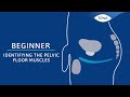 02 - identifying the Pelvic Floor Muscles - Mens BEGINNER Pelvic Floor EXERCISE