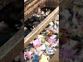 غرامات على رمي النفايات.. هل تغيّر سلوك الناس؟