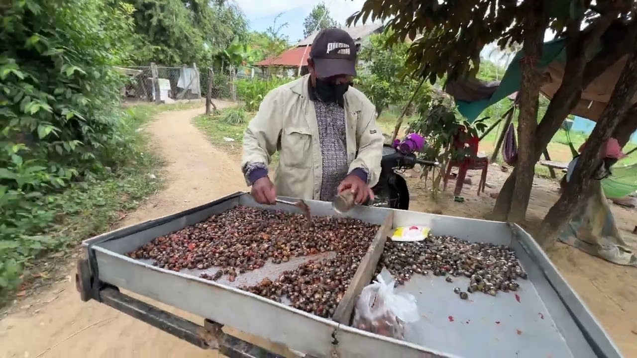 Today my husband dug a trench to protect the bullets.