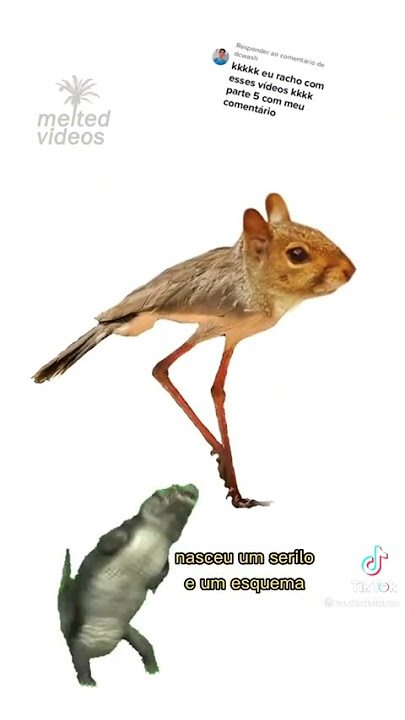 A capivara de Froger e a metafísica dos memes