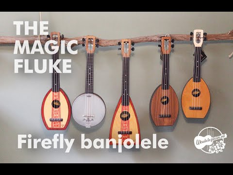 The Magic Fluke