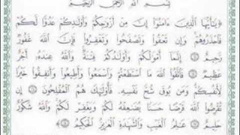 سورة التغابن (14-18)