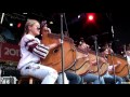 Riverland - По садочку ходжу (Тарас Бульба 2017) Україна. Дніпро. Ukrainian folk music. Bandura