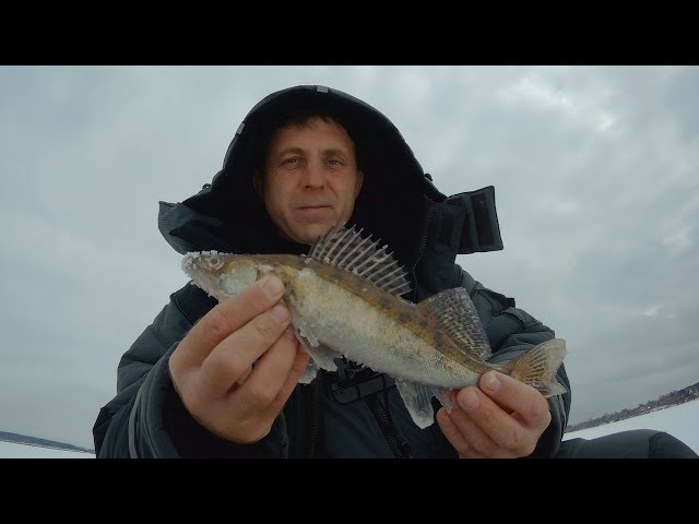 Отчёт о рыбалке по окуню и судаку. (Волга, Калязин) 31. 03. 2018.