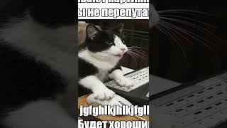 МЕМЫ ЕСТЬ МЕМЫ #приколы #юмор #лютыеприколы #школа #котики #мемы #троллинг #shorts