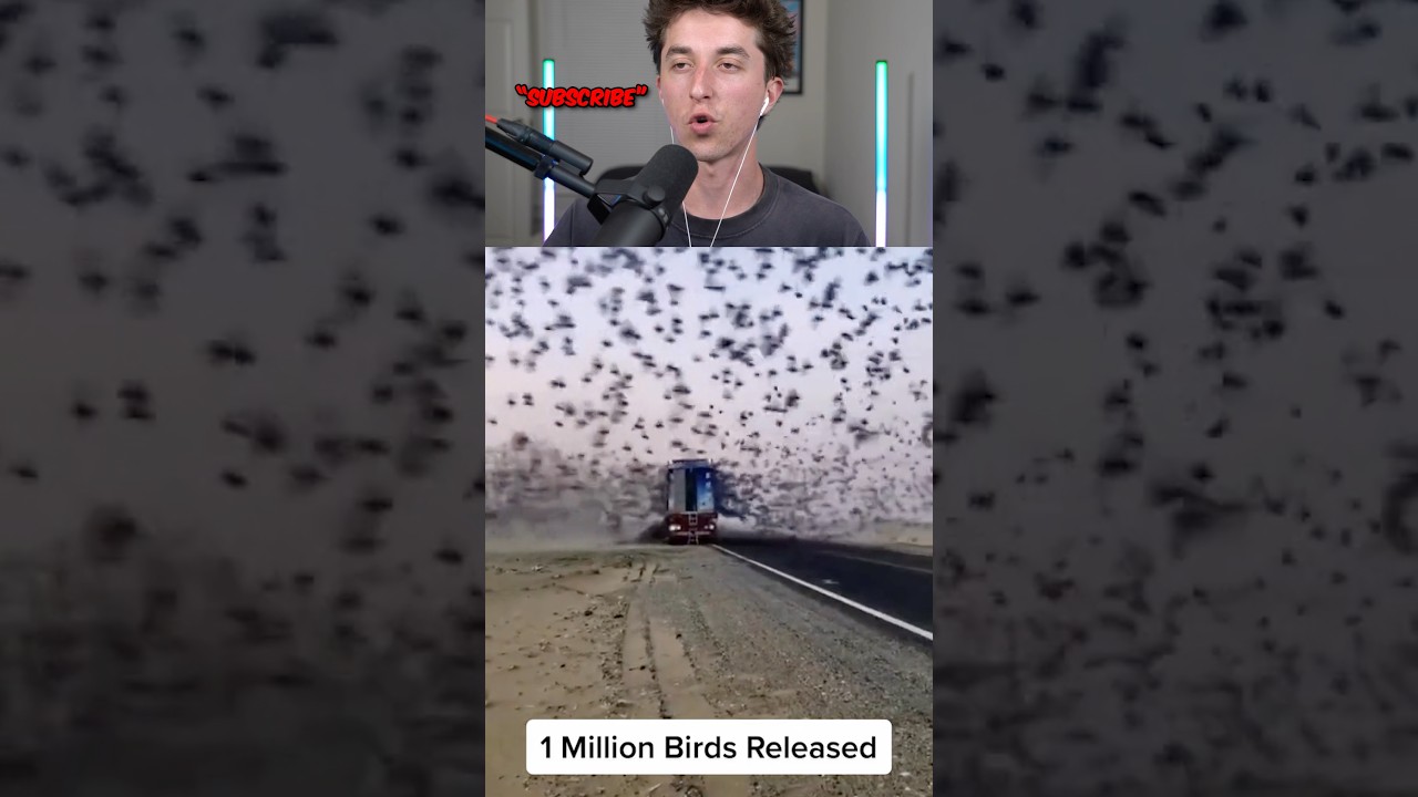 clips before death 🤯😳