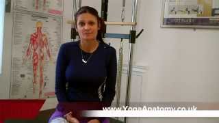 Yoga Anatomy Uk - Cpd Workshops Courses