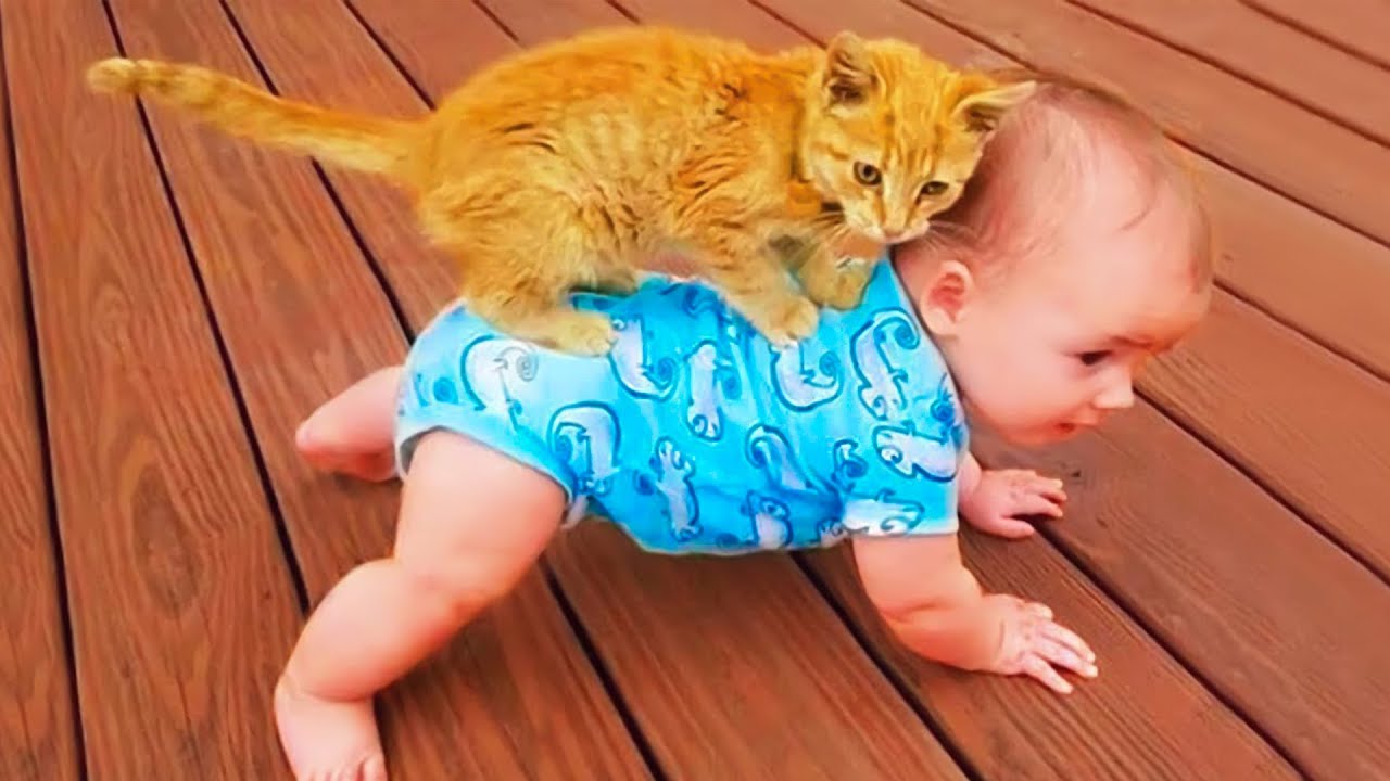 Baby and Cats & Dogs Fun and Cute - Funny Baby and Pets Videos