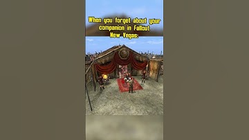 When you forget about your companion in fallout new vegas: #memes #fallout #shorts