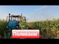 Поливаем кукурузу ДДН 70