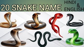 20 साँपो के नाम | 20 Snakes Name in Hindi &amp; English 🐍 | Kids Learning | Trashu Play Kids TV