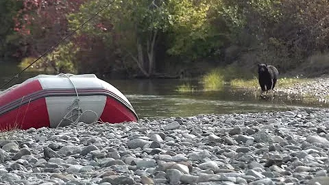 A Day Of Adventure Turned To Some Crazy Video! Listen To And Watch This