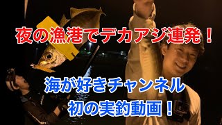 チャンネル初動画でデカアジ連発！【防波堤】