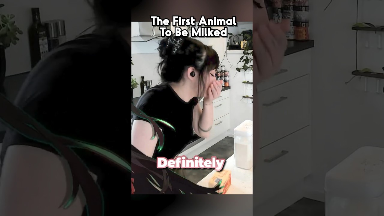 The First Animal To Be Milked
