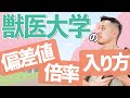 【獣医大学】知っておきたい試験形式、偏差値、倍率について解説します