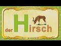 Multipedia der Tiere Buchstabe. H - der Hirsch