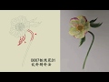 Leaf&amp;Stem Part of the Mystery “Iron Chopsticks&quot;?Helleborus?|Hand Embroidery|「蘇州刺繡•鐵筷子」D007