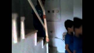 Üç Kafadarın Eşek Şakası