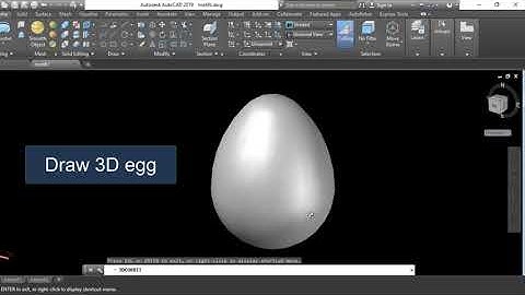 Draw 3D egg by autocad program