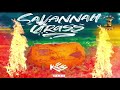 Kes - Savannah Grass (2019 Soca Trinidad)