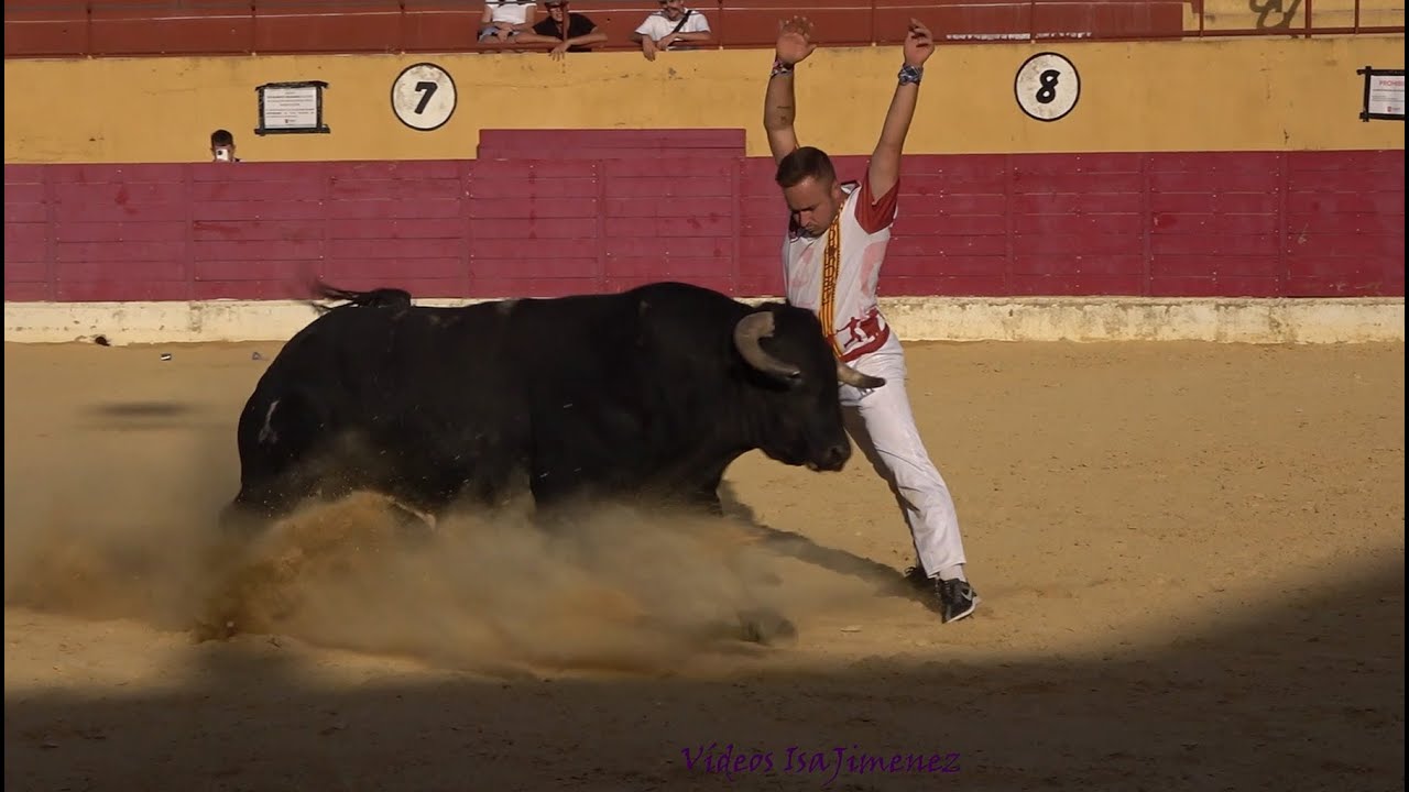 Alagón (Zaragoza)- 06/09/2025 - Concurso de Recortes - HD