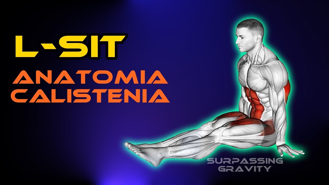 Anatomia Calistenia - L-Sit