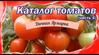 Семь лучших сортов томатов для консервирования. Каталог 2022