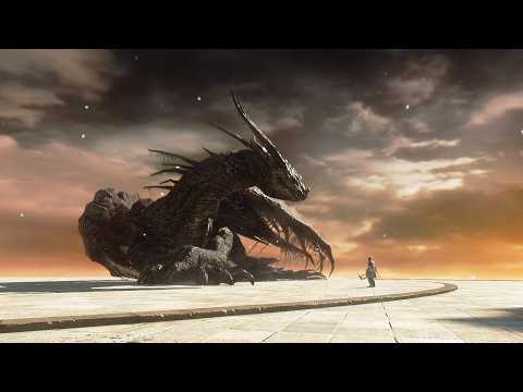 Dark Souls 2 Company of Champion Any% No-Hit (nueva ruta)