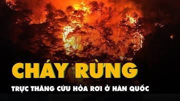 Trực thăng cứu hỏa rơi do khói che khuất tầm nhìn trong vụ cháy rừng khiến 26 người chết ở Hàn Quốc