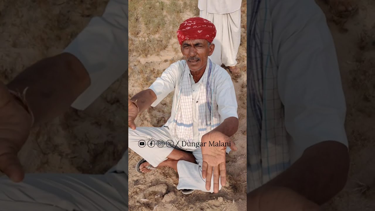 गुड़ामालानी वायरल किसान चुनाराम गोदारा जीरा फसल जलकर हुई नष्ट सरकार से मदद की गुहार..