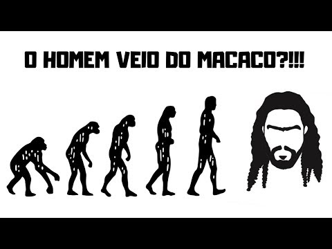 Vídeo: Teoria Unificada Da Evolução - Visão Alternativa