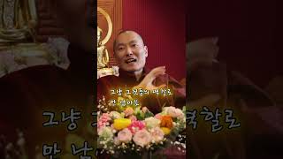 생각이 없어지든 말든 : 악가삿도 스님 마하보디선원 법문 중 #명상  #위빠사나