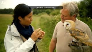 Barn Owl Boxes See our Barn Owl Boxes on Countrywise at the Yorkshire Wildlife Trust