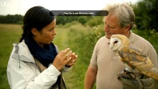 See our Barn Owl Boxes on Countrywise at the Yorkshire Wildlife Trust