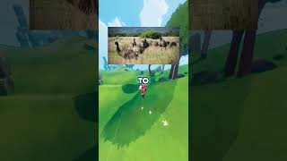 Australia vs The Emus 😂