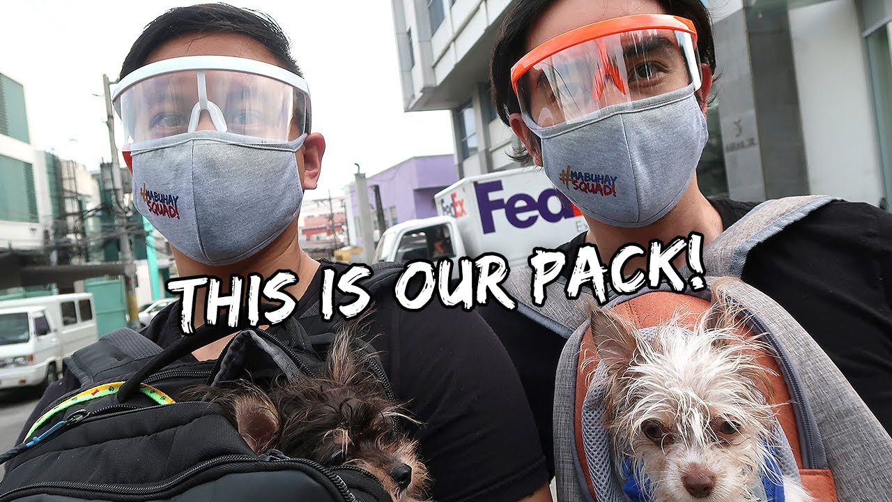 Walking With Two Dogs Around Our Neighbourhood | Vlog #938