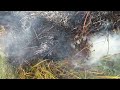 Heartbreaking scenes as massive wildfire scorches protected landscape in Blaenavon 🚨🔥