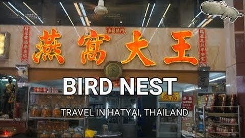 BIRD NEST SOUP AT HATYAI THAILAND 燕窝大王 燕窝汤 [泰国合艾之旅]