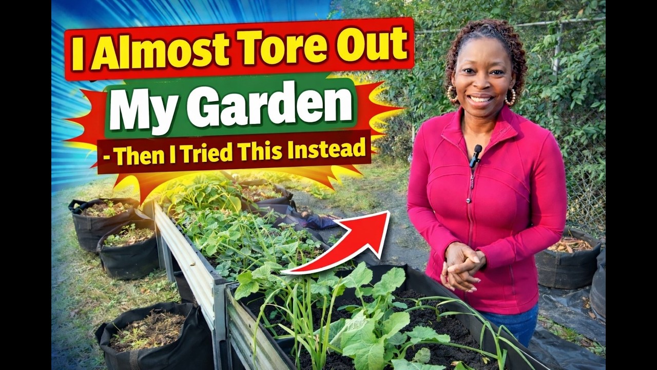 I Almost Tore Out My Garden - Then I Did This Instead