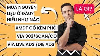 Nguyên liệu chạy QC: Mua ở đâu, 902, XMDT, LIVE ADS ... Là gì