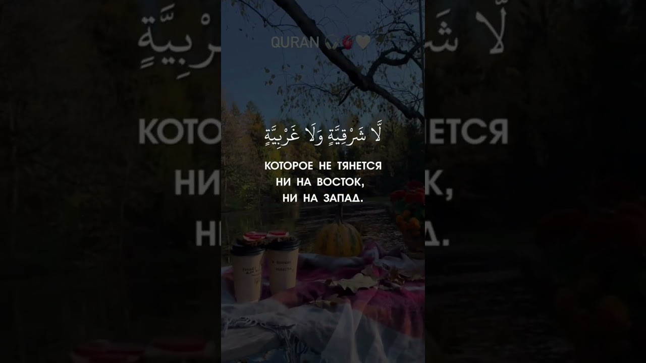 Сура Ан нур(свет)