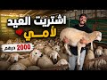 Finally I Bought A Lamb And A Goat For My Mom For Eid For Only 2000 Dirhams 