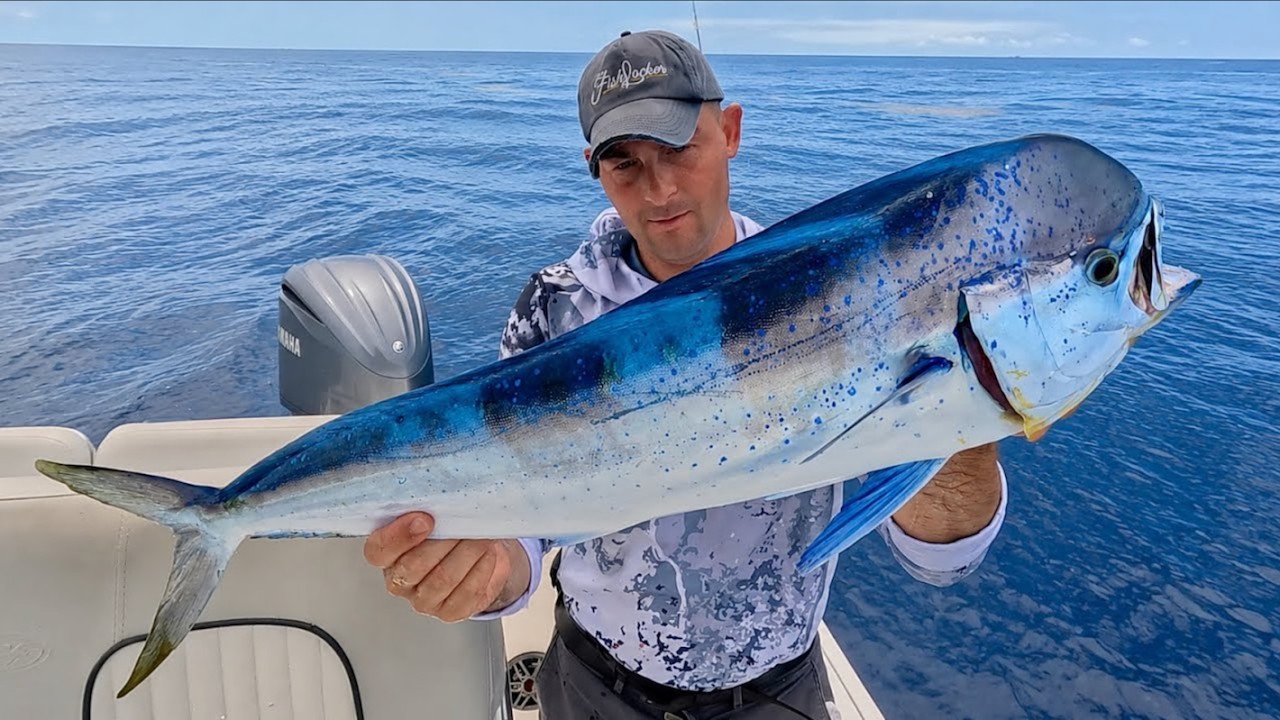FLORIDA KEYS FISHING! Ultimate adventure - Inshore, Offshore, Diving, Catch & Cook | The Fish Locker
