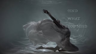Shayfer James - Reverie (Official Lyric Video)