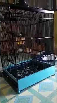 CILILIN SUPER KERAS RAPAR punya suhu parman