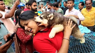Galiff Street Pet Market Kolkata | dog market in kolkata | Dog Price | Gallif street kolkata | Dog