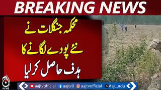 Rajanpur Forestry Department Achieves August Plantation Target - Pakistan News