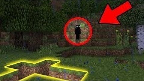 The null sighting😱||minecraft null sighting (1.18.2)