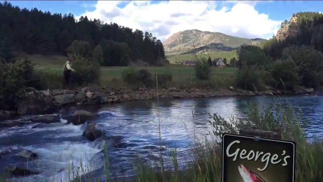 Fishing in Bailey, Colorado YouTube