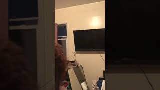 Real estate Jo birthday video